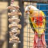 2-Pack Bird Toys with Straw and Bell, Parakeet Toys in Cage, Parrot Cage Accessories, Chewing Toys for Budgies Cockatiels Lovebirds Canaries Conures Quaker Finches Parrotlets Small to Medium Birds