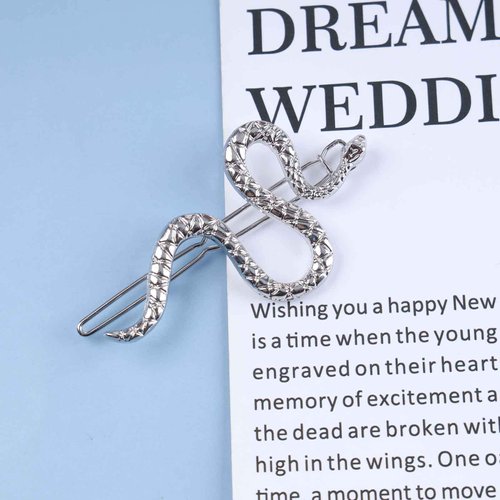 Allereyae Vintage Snake Hair Clip Barrette Serpent Hair Pin Barrette Punk Medusa Side Hair Clip Barrette Bobby Pin Silver Snake Head Clip Headwear Hair Accessories for Women (Silver)