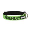 Friendly Green Color Coded S-M L-XL Buckle Dog Collar (Known As Friendly) Prevents Accidents by Warning Others of Your Dog in Advance (L-XL 15-25" Lx1.5 W)