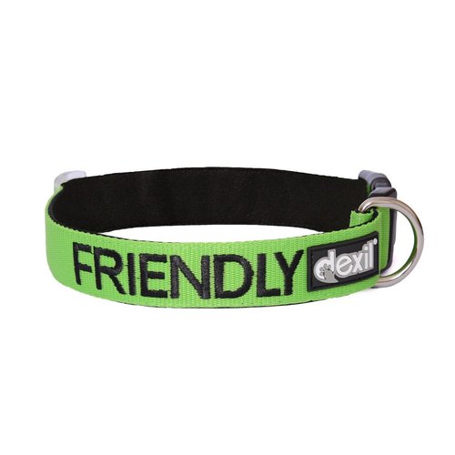 Friendly Green Color Coded S-M L-XL Buckle Dog Collar (Known As Friendly) Prevents Accidents by Warning Others of Your Dog in Advance (L-XL 15-25" Lx1.5 W)