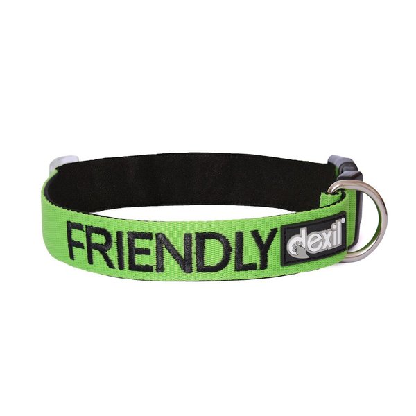Friendly Green Color Coded S-M L-XL Buckle Dog Collar (Known As Friendly) Prevents Accidents by Warning Others of Your Dog in Advance (L-XL 15-25" Lx1.5 W)