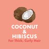 Shea Moisture Kids Coconut & Hibiscus Curling Butter Cream with Shea Butter, Coconut Milk & Oil - Anti-Frizz Hair Care for Kids' Curly Hair (2 Pack - 8 Oz Each)