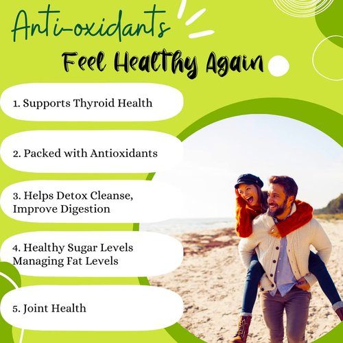 Advanced Bionetix Organic Irish Sea Moss Capsules, Raw Wildcrafted Seamoss Enhanced w/Bladderwrack & Burdock Root Capsules 120 Total Pills Antioxidant Packed. Prebiotic Superfood, Thyroid Support.