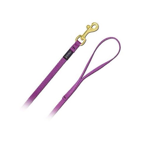 4' Pet Leash - Extra Small - Baby Pink Dog Leash