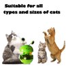 Cat Toy Ball Track, Cat Ball Toy, Cat Treat Dispenser Toy with Interactive Cat Toys for Indoor Cats Toy Slow Feeder Treat Ball Cat Puzzle Feeder Toy Tumble Cat Spill Ball Toy Training Ball Toy