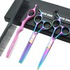 5.5 Inches Hair Cutting Scissors Set with Razor Combs Lether Scissors Case,Hair Cutting Shears Hair Thinning Shears for Personal and Professional (Raibow)