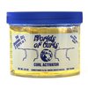 Worlds Of Curls Gel Activator - Extra Dry 32 oz.