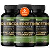 Quercetin with Vitamin C and Zinc - Nettle Quercetin - Quercetin 500mg - Quercetin with Bromelain - Zinc Quercetin + Vitamin D3 - 360 Veggie Caps - (Non-GMO, Gluten-Free, Vegan) 6 Month Supply