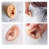 CHUANCI Soft Silicone Ear Model for Hearing aid 1:1 Human Ear Ear Model Simulation Display Props Teaching Tools Jewelry Display Earrings (On Pair White Color)