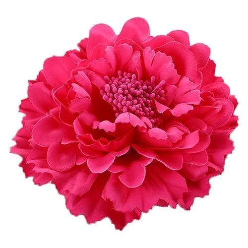 1Pc Fuchsia HC-01 Floral Fall Peony Flower Hair Clip Small in Size and Light in Weight Flamenco Dancer Pin up Flower Brooch Dual Hair Clip and Brooch Pin Backing,Brooches and Pins