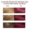 Fedulili Hair Dye Shampoo 3-in-1 Champu Para Canas Mujer, Instant Wine Red Herbal Burgundy Hair Color Treated Shampoo, Long Lasting Easy to Use, for Women Men Christmas Gift, 500ml