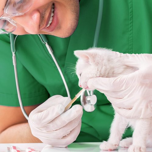 AkoSlale Wooden Q Tips,Pointed Tip Cotton Swabs, 200Pcs-2.9 Inch, Cat Eye Cleaner, Cat Wound Care,Baby Qtips,Micro-Swab Sticks for Makeup Cosmetic Nails Clean