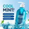 CP-1 Cool Mint Shampoo, for Dry Hair, Relief Icy Menthol, Fresh Peppermint, Scalp Treatment, 16.9 fl oz