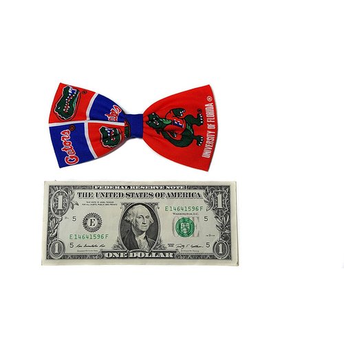 Sports Themes Hair Bow Collection (Alligator Clip, UF Gators/Orange)