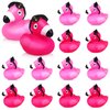 12 Set Hot Pink Rubber Ducks Bulk Pink Bath Toys for Baby Shower Birthday Party Favors Classroom Prizes