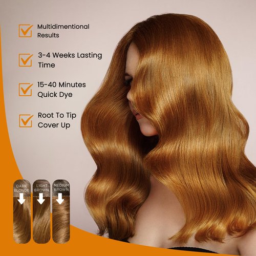 Fedulili Hair Dye Shampoo 3 In 1, Blonde Brown Hair Color Treated Shampoo Para Canas, for Women & Men, Lasts 30 Days, Easy To Use, Christmas Gift, 500ml