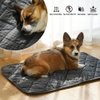 ARGOPET Self Warming Cat Bed (30"x19") Self Heating Cat Mat Warm Thermal Pet Pad with Anti-Slip Bottom Machine Washable Dog Crate Pad for Outdoor and Indoor Pets.