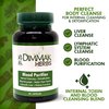 Dimmak Herbs Blood Purifier for Internal Cleansing & Detoxification + Benefits Liver and Kidney Function | Lab Tested Herbal Supplement 100 Capsules