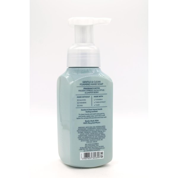 Frozen Lake, Bath and Body, Gentle Foaming Hand Soap, 8.75 fl oz