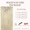 GOO GOO Clip in Hair Extensions Real Human Hair, 16inch 120g 7Pcs, 60A Platinum Blonde, Remy Human Hair Extensions Clip ins for Women, Natural Human Hair