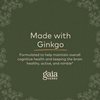 Gaia Herbs Ginkgo Leaf - Traditionally Used to Support Healthy Circulation and Brain Function - Organic, Herbal Supplement - 60 Vegan Liquid Phyto-Capsules (20-Day Supply)