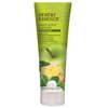 Desert Essence Green Apple & Ginger Body Wash - 8 Fl Ounce - Refreshing - Vitamins A, B & C - Scented - Cleanses & Revitalizes - Yucca Cactus - No Parabens