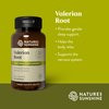 Nature's Sunshine Valerian Root, 100 Capsules | Herbal Supplement Promotes Relaxation, Supports Sleep, and Delivers Natural Nervous System Support