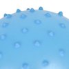 Bedwina Mini Knobby Balls - (Pack of 12) Bulk 5 Inch Sensory Balls and Spiky Massage Stress Balls with Pump, Fun Bouncy Ball Party Favors
