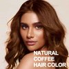 Hair Dye Shampoo 3 in 1, Coffee Hair Dye 16.9 FL Oz, Coffee Hair Shampoo, Semi-Permanent Hair Dye Shampoo, 100% Gray Hair Coverage, Effect in 15 Minutes, Lasts 30 Days (coffee)