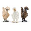 Schleich Farm World Realistic Chickens Playset - 3-Piece Farm and Barn Toy Playset with Realistic Chicken Figurines for Play Time and Imagination, for Boys and Girls, Gift for Kids Toddlers Age 3+