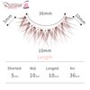 Dorisue Wispy eyelashes Brown lashes Natural looking false eyelashes Lightweight Reuseable 5 Pair Set X4