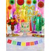 JeVenis Nacho Average Party Decoration Nacho Average Party Balloons Banner Fiesta Taco Balloons Fiesta Mexican Party Decoration