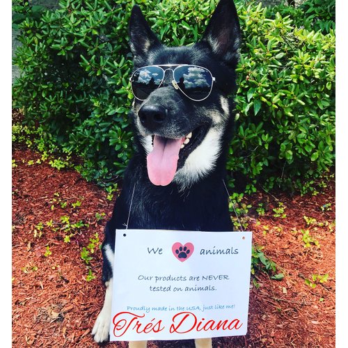 TRÈSDIANA DMAE Anti-Aging Moisturizer - Premium Anti-Aging, for Face and Neck, Moisturizes, perfect for Oily, Dry, and Sensitive Skin, Natural Blend of Vitamin E, Caviar, Aloe, Green Tea Antioxidant,