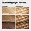 Revlon Permanent Hair Color, Permanent Hair Dye, Color Effects Highlighting Kit, Ammonia Free & Paraben Free, 20 Blonde, 8 Oz, (Pack of 1)