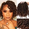 3 Packs 10 inch Ombre Synthetic Crochet Braids - Pre-twisted Fluffy Curly Hair Extensions 15 strands/pack (T1B/30#)