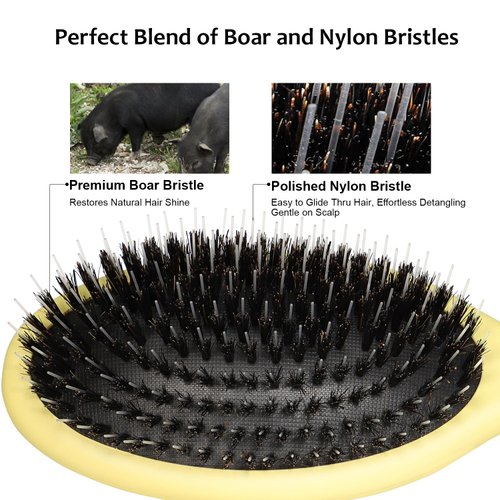 Glidease Matte Boar Bristle Hair Brush without Ball Tips, Smooth Bristle for Women, Men, and Kids - Effortless Detangler Hair Brush Ideal for Thick, Thin, Fine All Hair (Yellow)