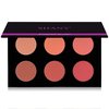 SHANY Shimmer & Matte Warm-Toned Blush Palette - Layer 6 - Refill for the 6 Layer Mini Masterpiece Collection Makeup Set