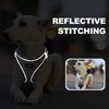 haapaw Dog Harness with Leash Set, No Pull Adjustable Reflective Step-in Puppy Harness with Thickened Padded Vest for Extra-Small/Small Medium Dogs