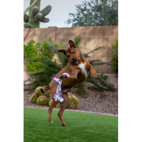 Multipet Puppy Ball-Head Unicorns 10 in Assorted (43269)