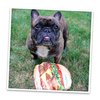 Doggijuana | Get The Munchies - Interactive Dog Toy with Juananip Refill | Refillable Dog Toy for Engaging Play and Natural Calming (Cheeseburger Toy)