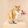 Fringe Studio "UNDER MY WINGS Cat Toy Mini Set of 3, PetShop Collection (904029)