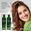Tea Tree Shampoo and Conditioner Set - Dandruff Treatment With Organic Tea Tree Oil - Itchy Scalp Treatment for Women and Men - Sulfate and Paraben Free With Manuka Honey, Aloe Vera & Coconut (16oz)
