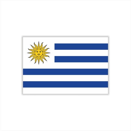 Womaha 30 Sheets Uruguay Flag Temporary Tattoos Fans Face Tattoo Stickers for Adults Kids Group Activity Props
