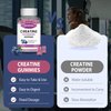 Zetelixia 2 Pack Creatine Monohydrate Gummies 5g for Men & Women, Chewables Creatine Monohydrate for Muscle Strength & Muscle Builder, Vitamin B12 for Energy Support, Blueberry Flavor, 120 Count
