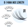 IECILI Lash Clusters Individual Lashes - 280pcs 20D Cluster lashes for DIY Lash Extensions -Super Thin & Soft Eyelashes 8-14mm C Curl Cluster Eyelash Extensions for Natural Wispy Look