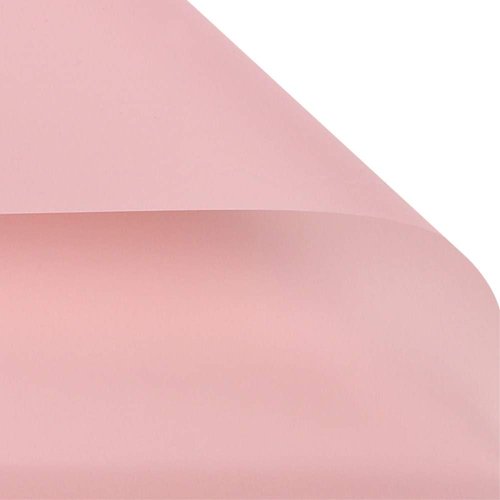BBJ WRAPS Korean Style Flower Wrapping Paper Floral Bouquet Gift Packaging Supplies Multi Colors 20 Counts (Pink)