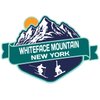 Whiteface Mountain New York Ski Adventures Souvenir 2 Inch Fridge Magnet Mountain Design