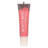 Burts Lip Shine Blush Size .5z Burts Lip Shine Blush .5oz