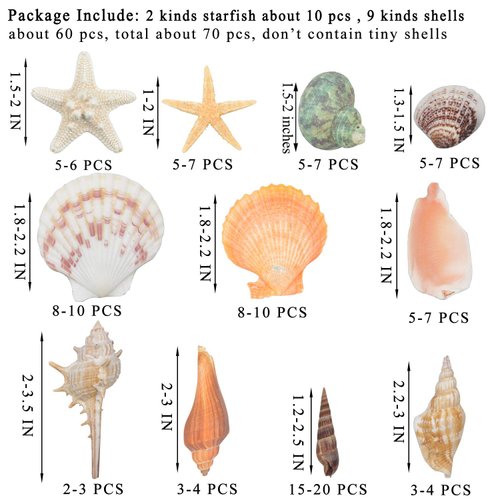 Sea Shells Mixed Beach Seashells 9 Kinds 1.2"-3.5 "Various Sizes Natural Seashells and 2 Kinds of Natural Starfish for Beach Themed Party DIY Crafts Fishtank Vase Fillers Home Wedding Decorations