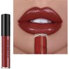 Kayswnag 12 Color Cream Texture Waterproof Lipstick, Lip Gloss Lip Lust Creme Lipgloss Liquid Lipstick,Waterproof Long Lasting Velvet Lip Gloss (09#)